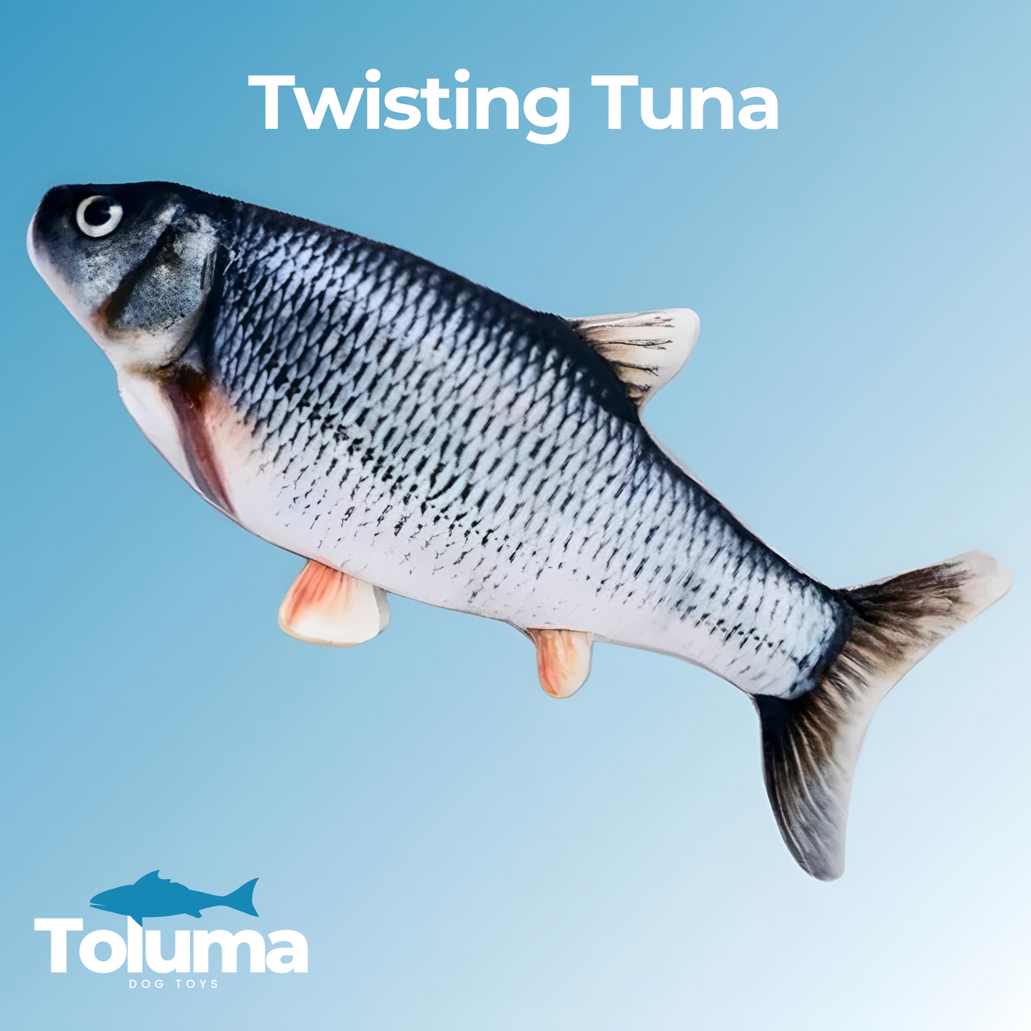 Dancing Fish by Toluma™